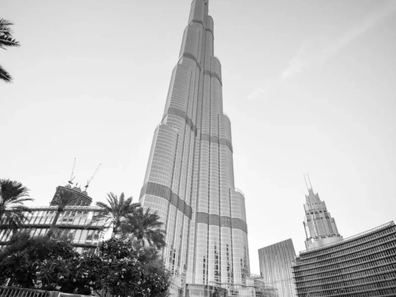 IMG_20170126_080359_3